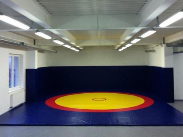 Борцовские ковры из ПВХ покрытия, Тула