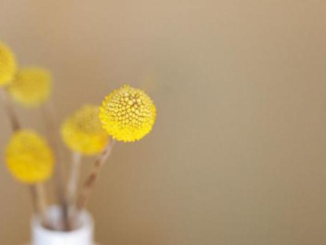 Штукатурка, Краснодар