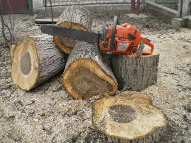 Спил удаления деревьев, профессионально оперативно, Санкт-Петербург