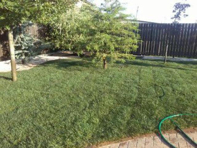 Ландшафтный дизайн. Озеленение, Новороссийск