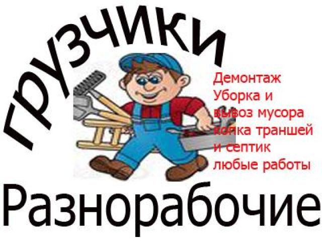 Услуги разнорабочих с опытом более 5-ти лет, Адлер
