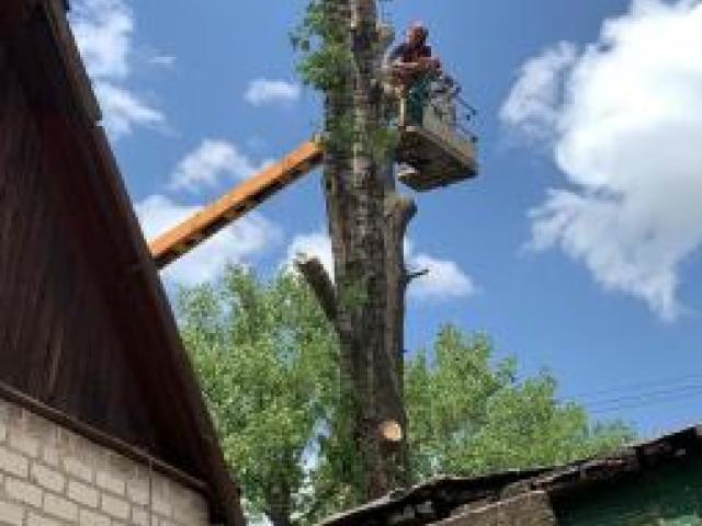 Спил и обрезка деревьев ЛНР 2025, Луганск