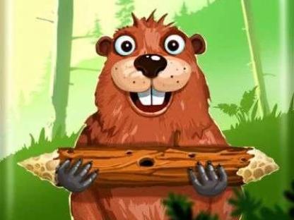 Мастер по отделке деревянных домов и бань, плотники и отделочники в Приозерском районе, Санкт-Петербург