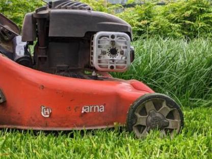 Зелёное строительство, озеленение, комплексный уход., Краснодар