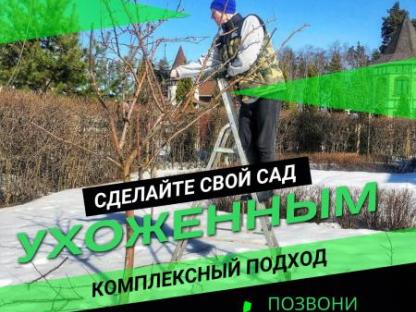 Обрезка Плодовых Деревьев, Москва