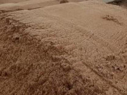 Песок рецной и песок карйени, Голицыно