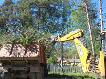 Спил деревьев. Обрезка деревьев. Вывоз спиленных деревьев. Уборка территории, Новороссийск