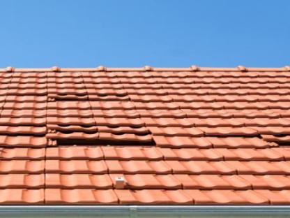 Покрою крышу, Калуга