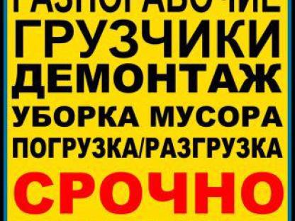 Разнорабочие и грузчики в Омске, Омск